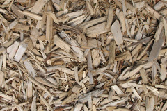 biomass boilers Polmear