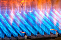 Polmear gas fired boilers